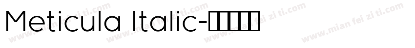 Meticula Italic字体转换